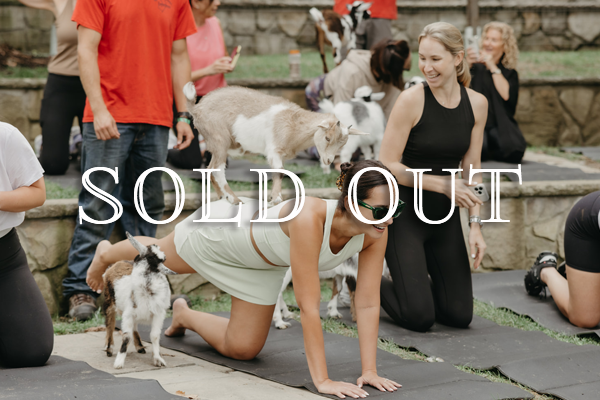 Goat Yoga